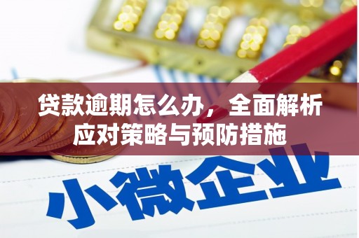 莱山贷款逾期怎么办，全面解析应对策略与预防措施
