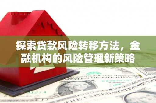 莱山探索贷款风险转移方法，金融机构的风险管理新策略