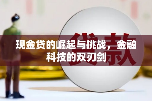 莱山现金贷的崛起与挑战，金融科技的双刃剑
