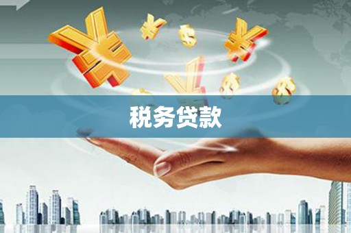 莱山税务贷款