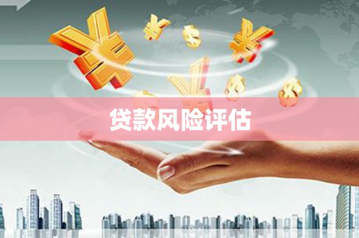 莱山贷款风险评估