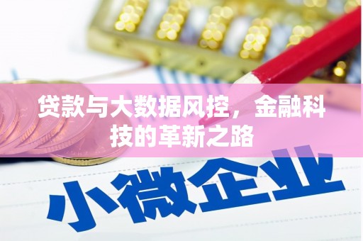 莱山贷款与大数据风控，金融科技的革新之路