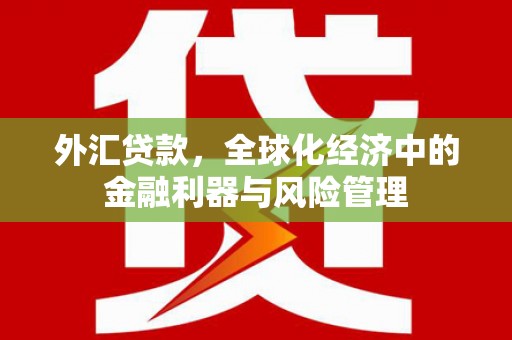 莱山外汇贷款，全球化经济中的金融利器与风险管理