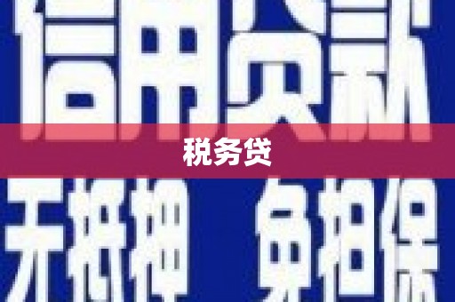 莱山税务贷
