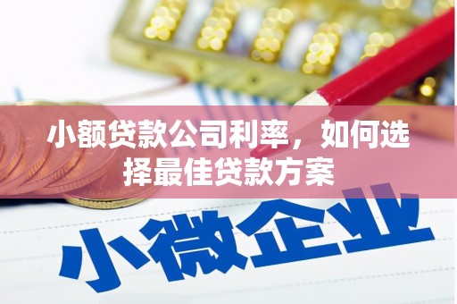 莱山小额贷款公司利率，如何选择最佳贷款方案