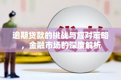 莱山逾期贷款的挑战与应对策略，金融市场的深度解析