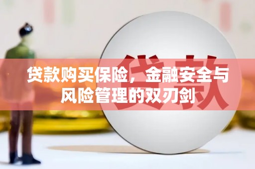 莱山贷款购买保险，金融安全与风险管理的双刃剑