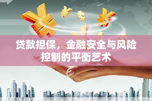 莱山贷款担保，金融安全与风险控制的平衡艺术
