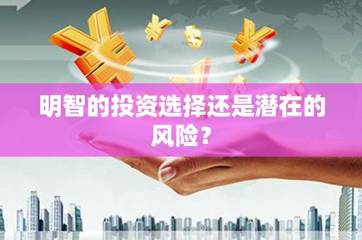 莱山明智的投资选择还是潜在的风险？