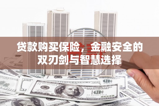 莱山贷款购买保险，金融安全的双刃剑与智慧选择
