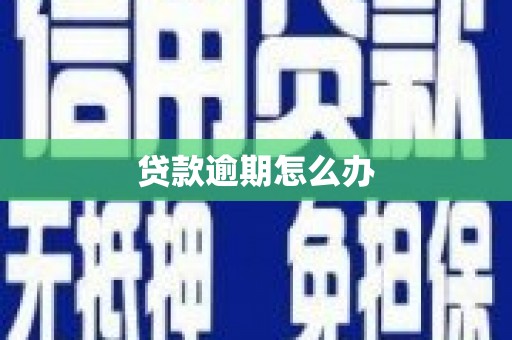 莱山贷款逾期怎么办