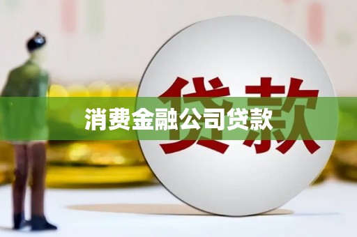 莱山消费金融公司贷款