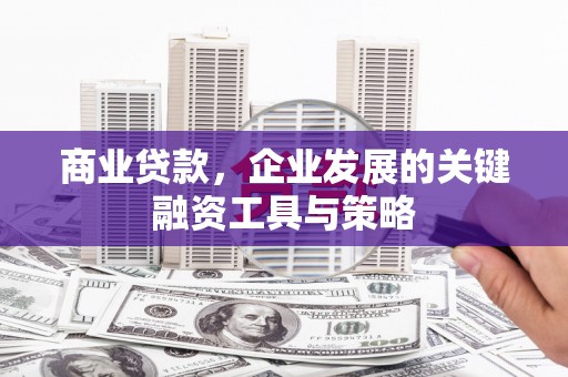 莱山商业贷款，企业发展的关键融资工具与策略