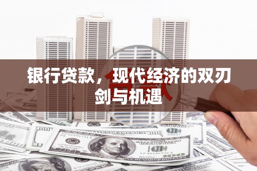 莱山银行贷款，现代经济的双刃剑与机遇
