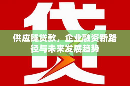 莱山供应链贷款，企业融资新路径与未来发展趋势