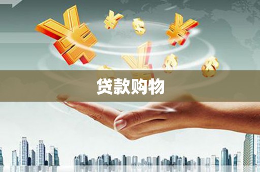 莱山贷款购物
