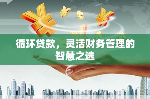莱山循环贷款，灵活财务管理的智慧之选