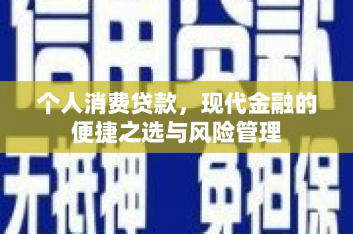 莱山个人消费贷款，现代金融的便捷之选与风险管理