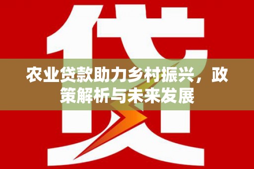 莱山农业贷款助力乡村振兴，政策解析与未来发展