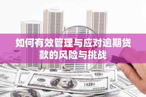莱山如何有效管理与应对逾期贷款的风险与挑战