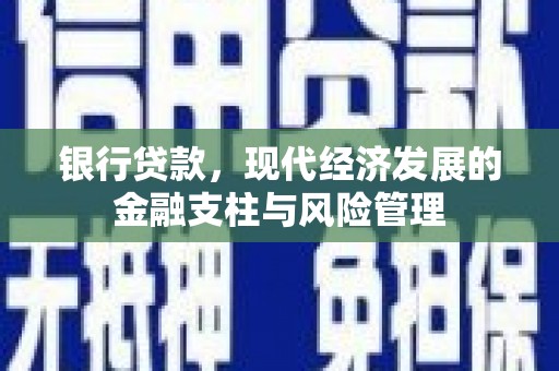 莱山银行贷款，现代经济发展的金融支柱与风险管理