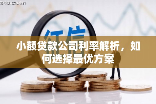 莱山小额贷款公司利率解析，如何选择最优方案