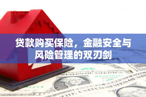 莱山贷款购买保险，金融安全与风险管理的双刃剑