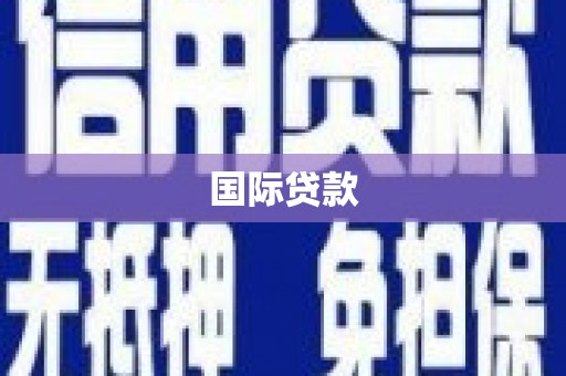 莱山国际贷款