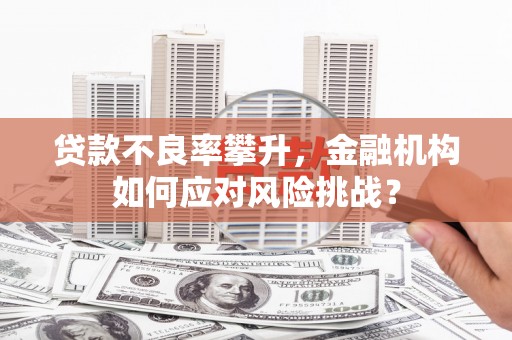 莱山贷款不良率攀升，金融机构如何应对风险挑战？
