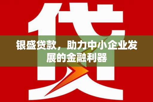 莱山银盛贷款，助力中小企业发展的金融利器
