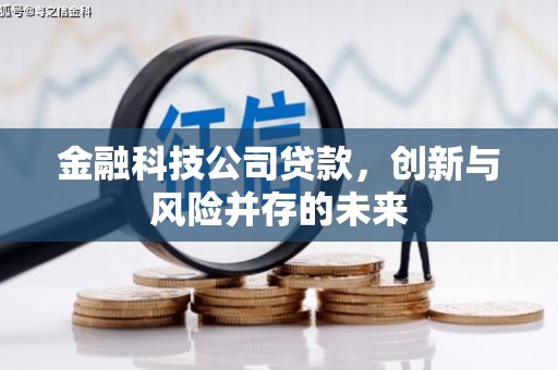 莱山金融科技公司贷款，创新与风险并存的未来