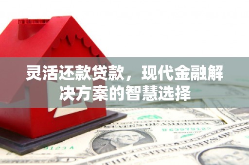 莱山灵活还款贷款，现代金融解决方案的智慧选择