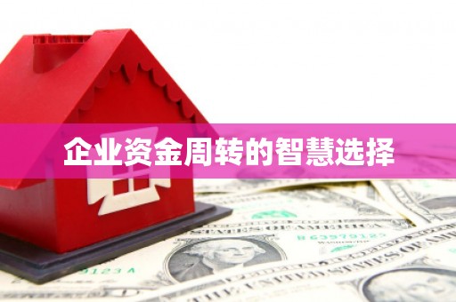 莱山企业资金周转的智慧选择