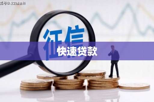 莱山快速贷款