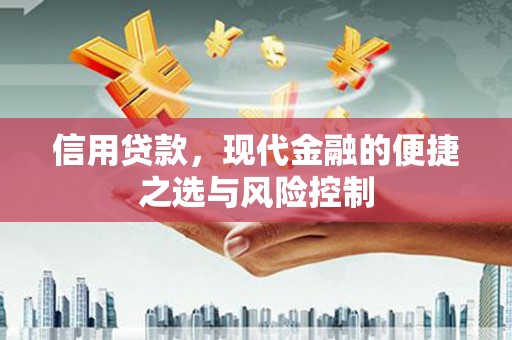 莱山信用贷款，现代金融的便捷之选与风险控制