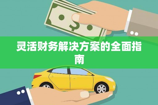 莱山灵活财务解决方案的全面指南