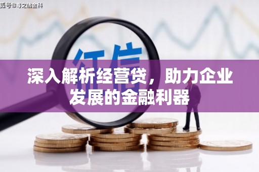 莱山深入解析经营贷，助力企业发展的金融利器