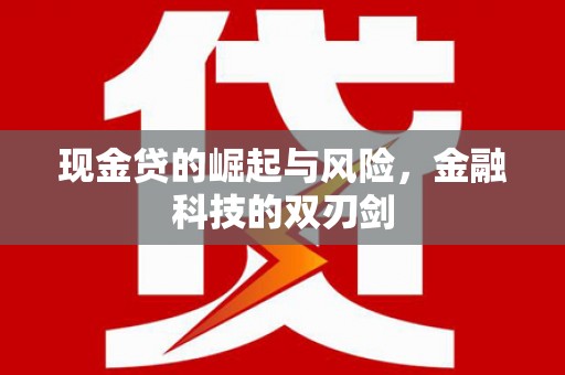 莱山现金贷的崛起与风险，金融科技的双刃剑