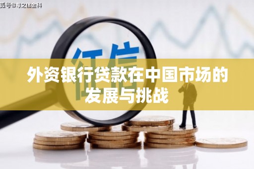 莱山外资银行贷款在中国市场的发展与挑战