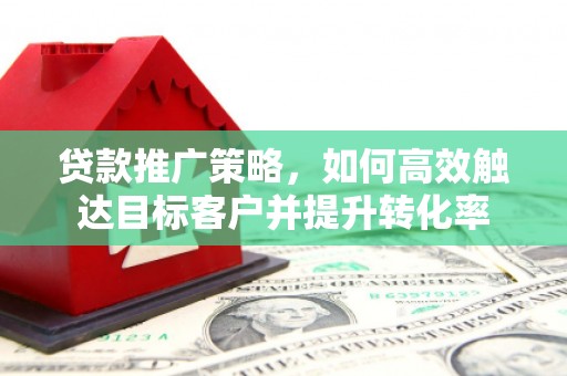 莱山贷款推广策略，如何高效触达目标客户并提升转化率