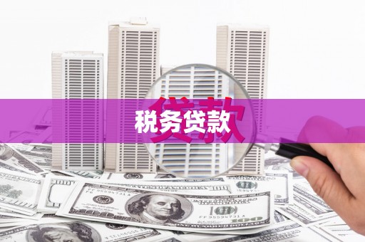莱山税务贷款