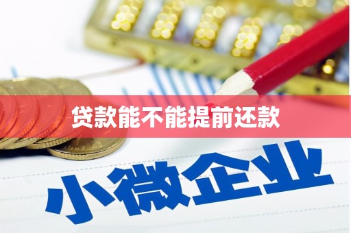 莱山贷款能不能提前还款