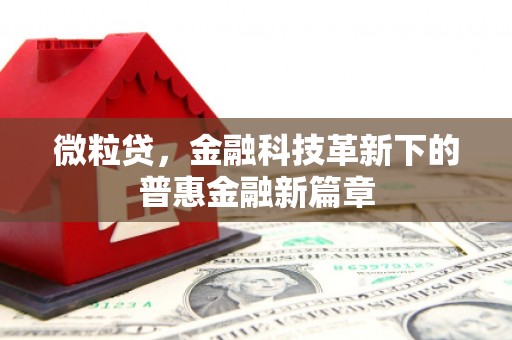 莱山微粒贷，金融科技革新下的普惠金融新篇章