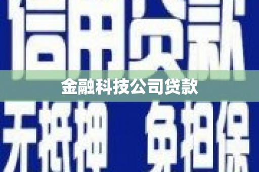 莱山金融科技公司贷款