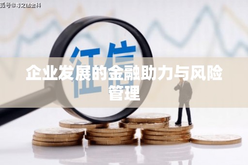 莱山企业发展的金融助力与风险管理