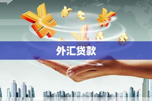 莱山外汇贷款