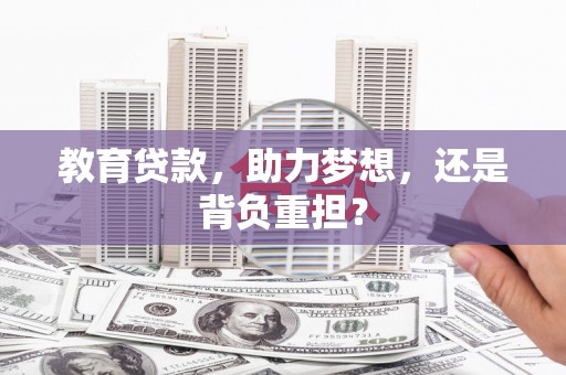 莱山教育贷款，助力梦想，还是背负重担？