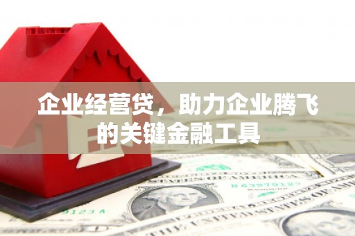 莱山企业经营贷，助力企业腾飞的关键金融工具