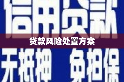 莱山贷款风险处置方案
