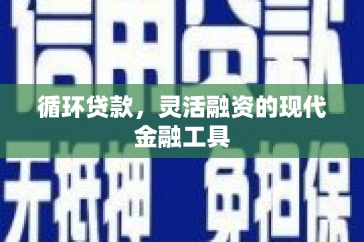 莱山循环贷款，灵活融资的现代金融工具